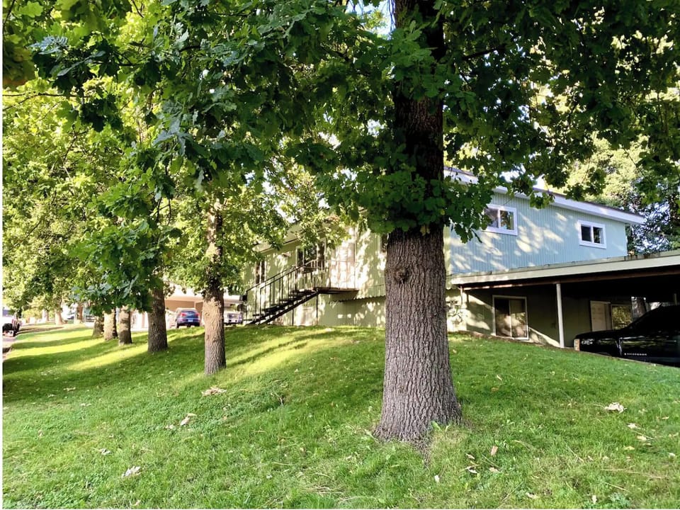 Front yard on Lincoln Way.