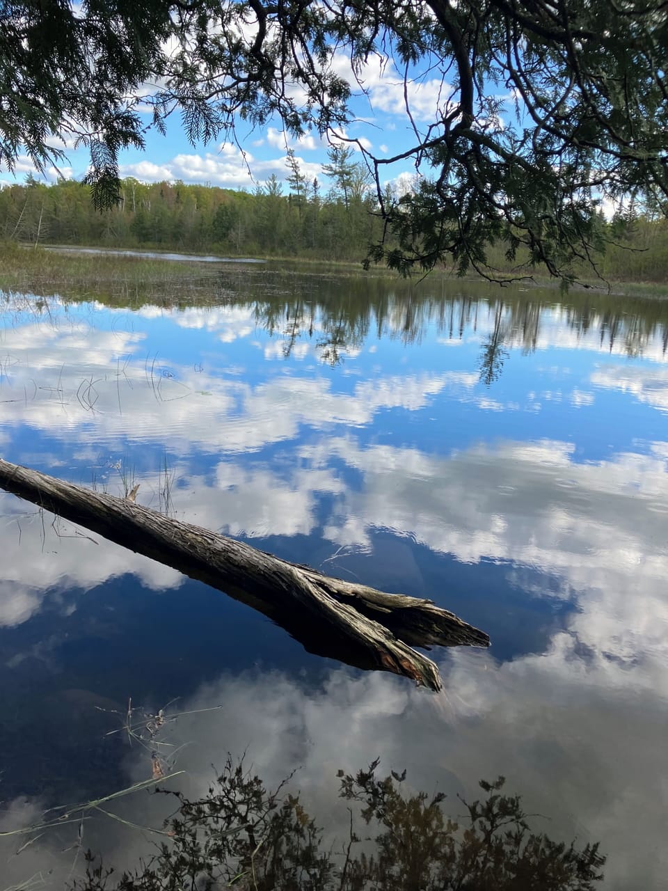 Wagner lake quiet scenery