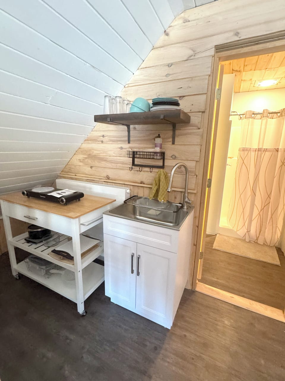 sink and food prep area, with portable cook top