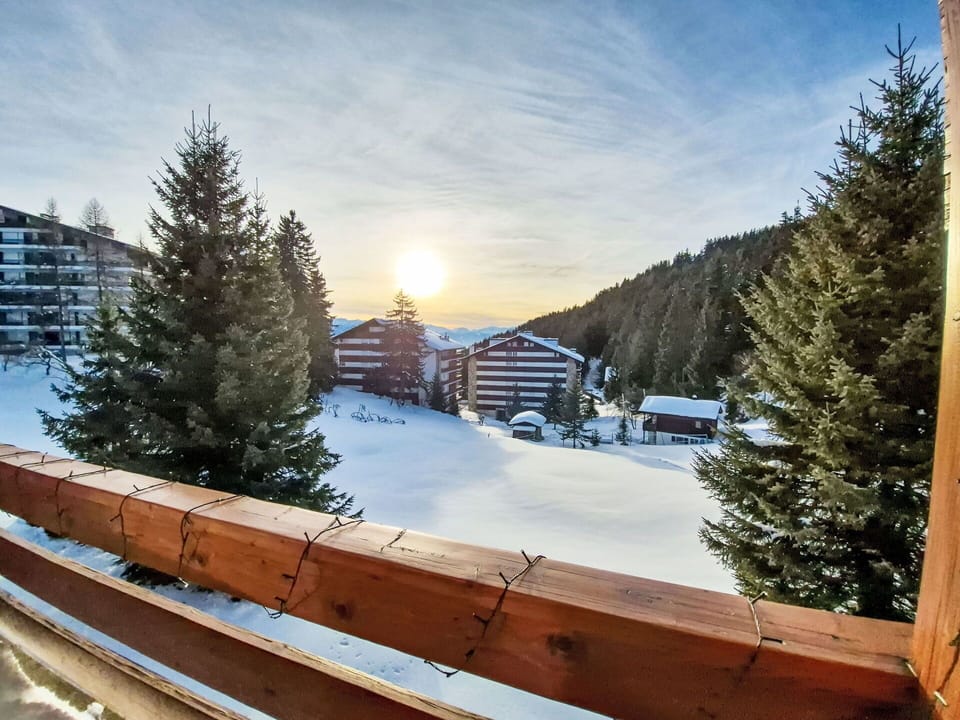 Winter, Snow, Freezing, Hill Station, Larch, Slope, Alps, Evergreen