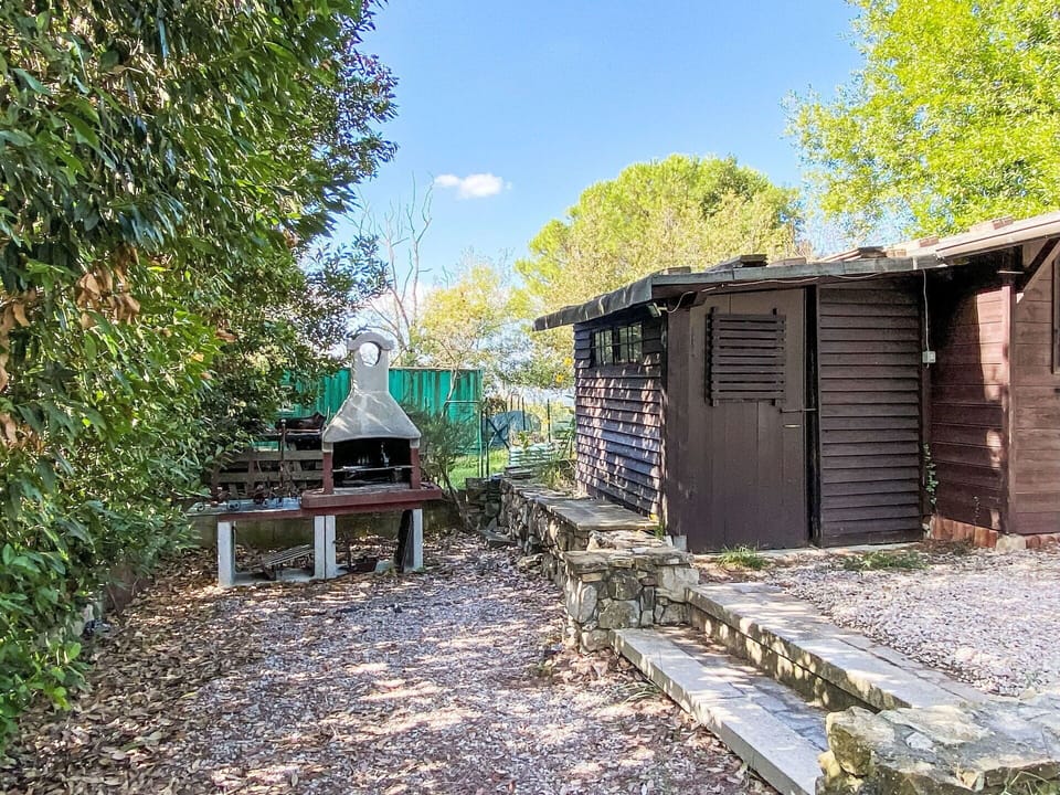 Wood, Rural Area, Shade, Garden Buildings, Shed, Log Cabin, Backyard, Outdoor Structure, Shack, Hut
