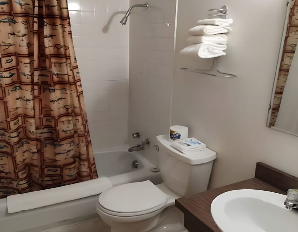Rinse off and recharge with a simple tub-and-shower combo
