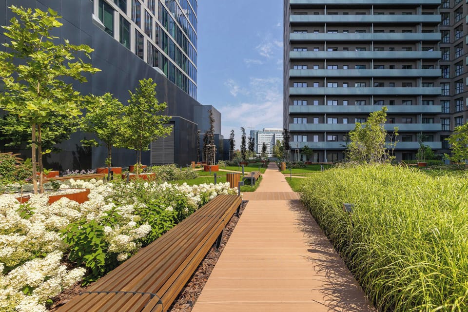 A quiet, developed alley surrounded by greenery and urban elegance.
