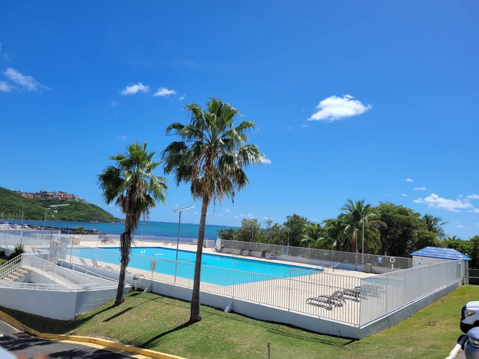 Salt Water Olympic Size Pool