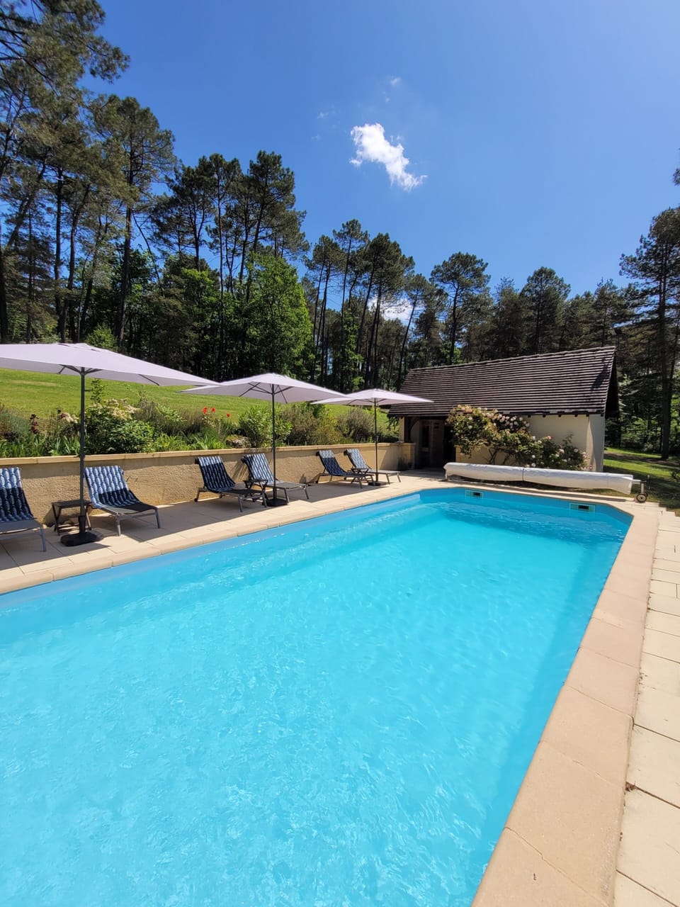 Private pool with 8 sunbeds 
