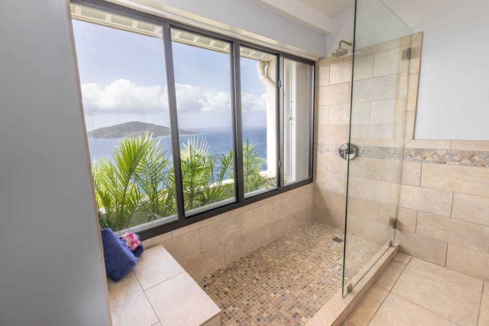 Primary Shower With Ocean View
