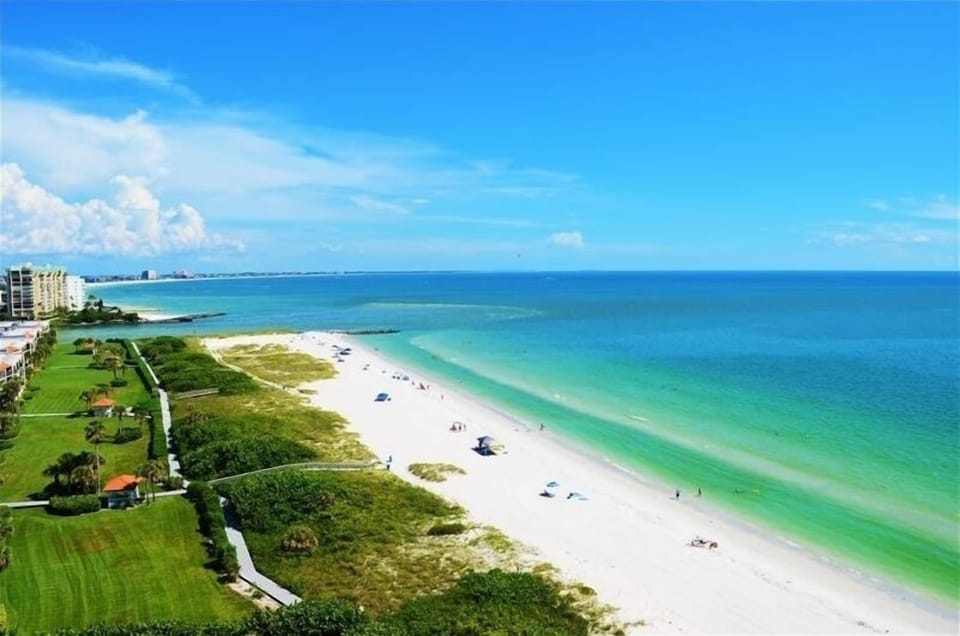 11th floor view with corner unit