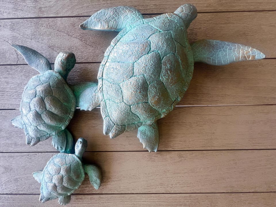 Charming turtle wall art adds coastal charm to your stay