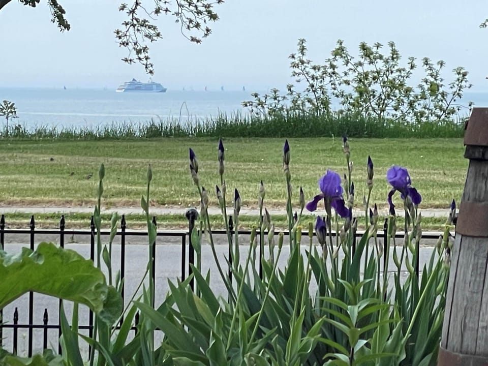 Lake Ship Iris Patio