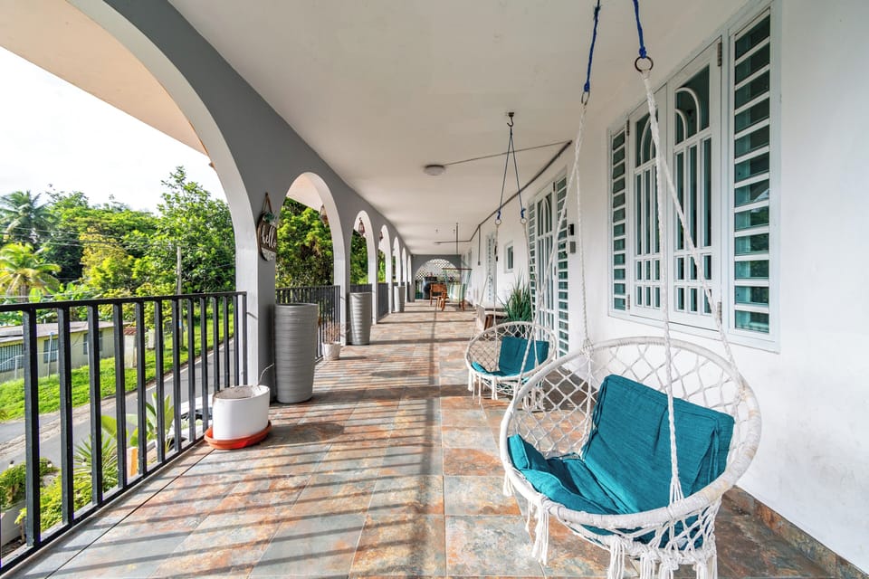 A patio with lush greenery, ideal for relaxing in the fresh air.

