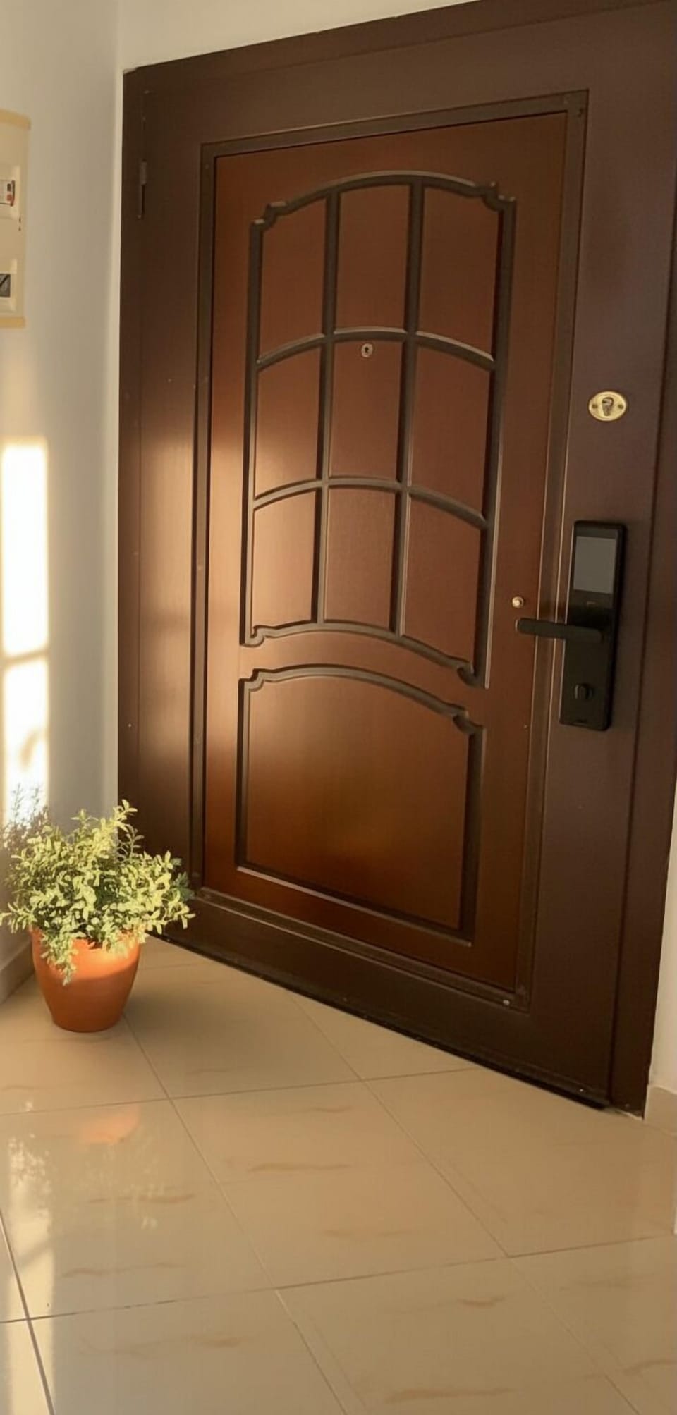 Elegant Entryway Door