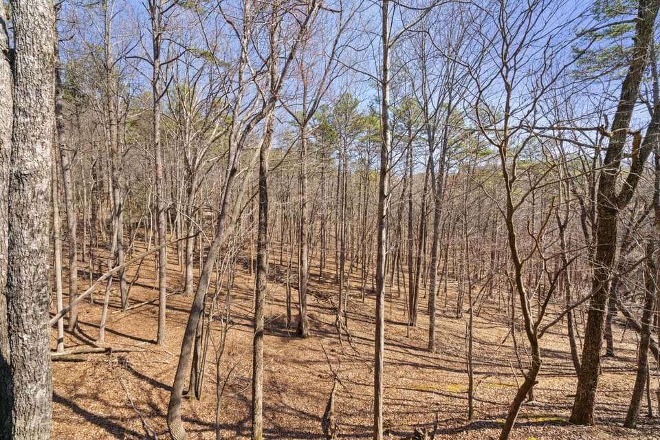 Forest Footprints - Grounds