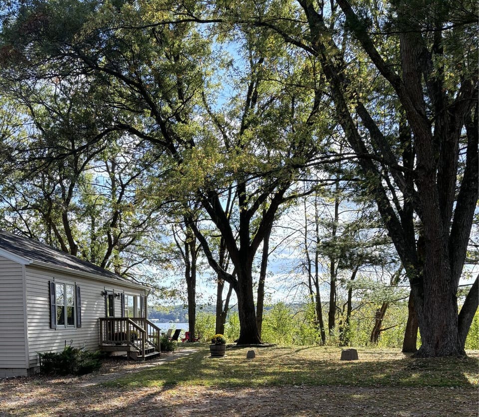 Views from the driveway