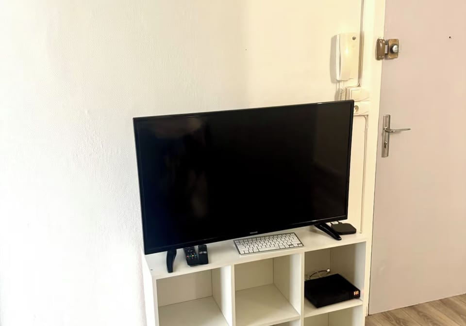Television