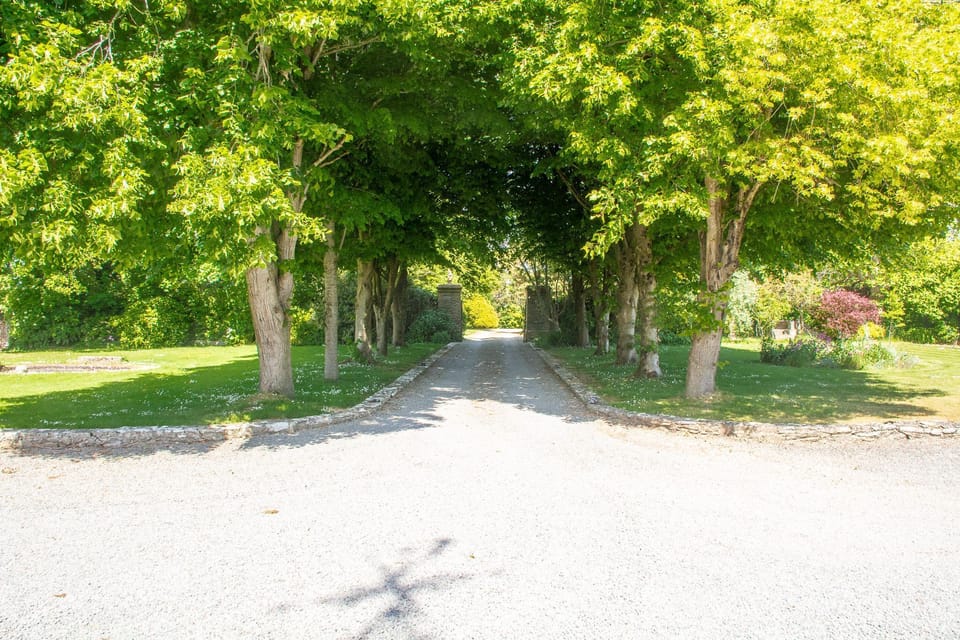 Driveway Avenue