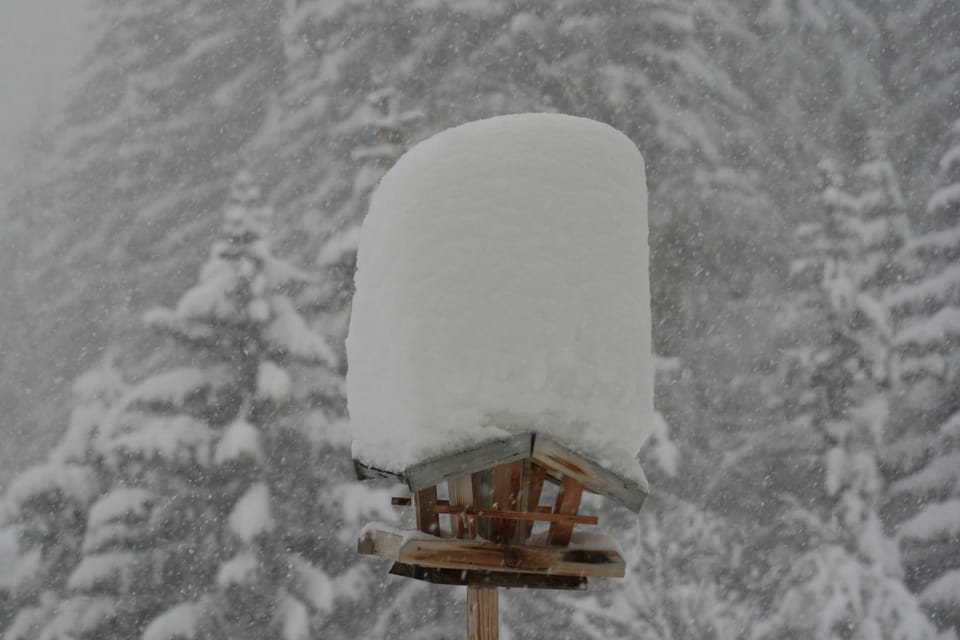 Suite Mila - Apart La Vita Apartment in Saint Anton am Arlberg