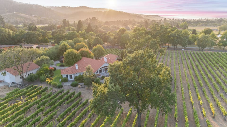 Full aerial of home and vineyard.