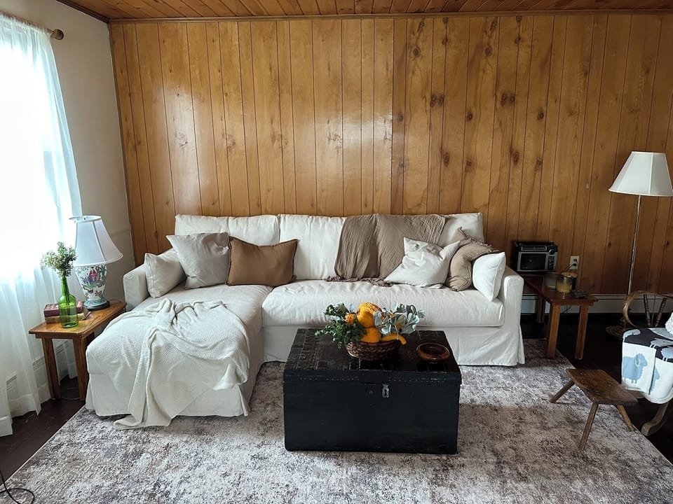 Living room sofa
