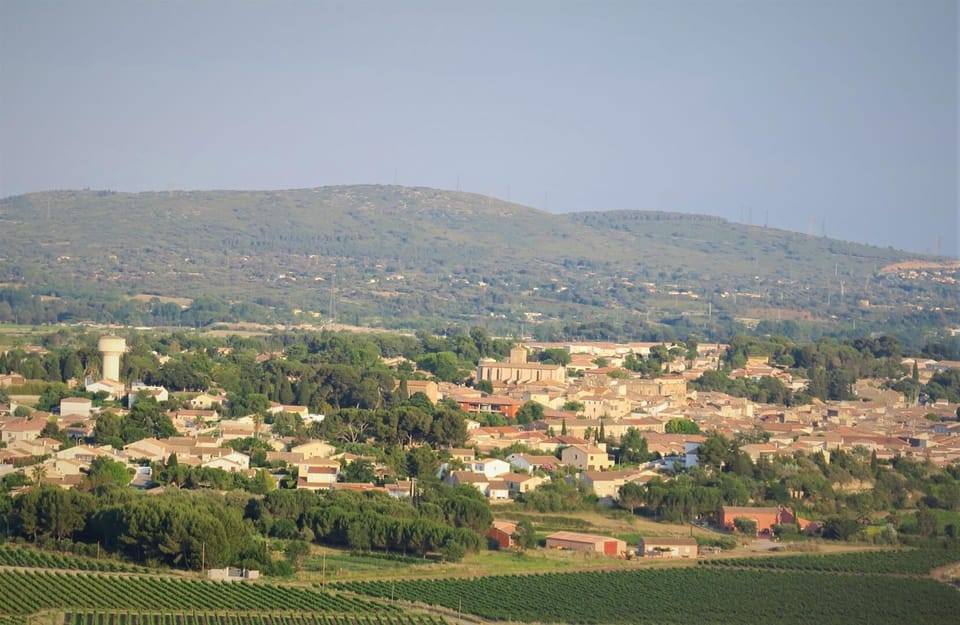 Miscellaneous