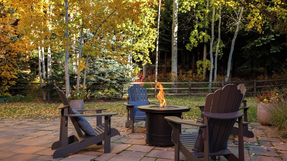 Yard, Main Level - Fire pit with outdoor chairs