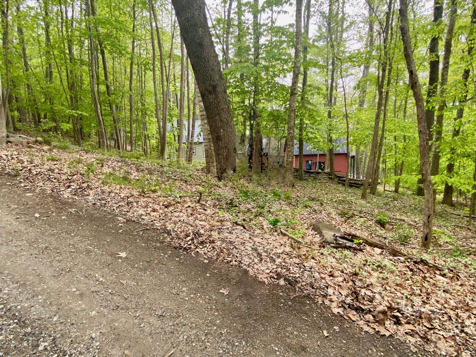 View of cabins off of Good Day Drive