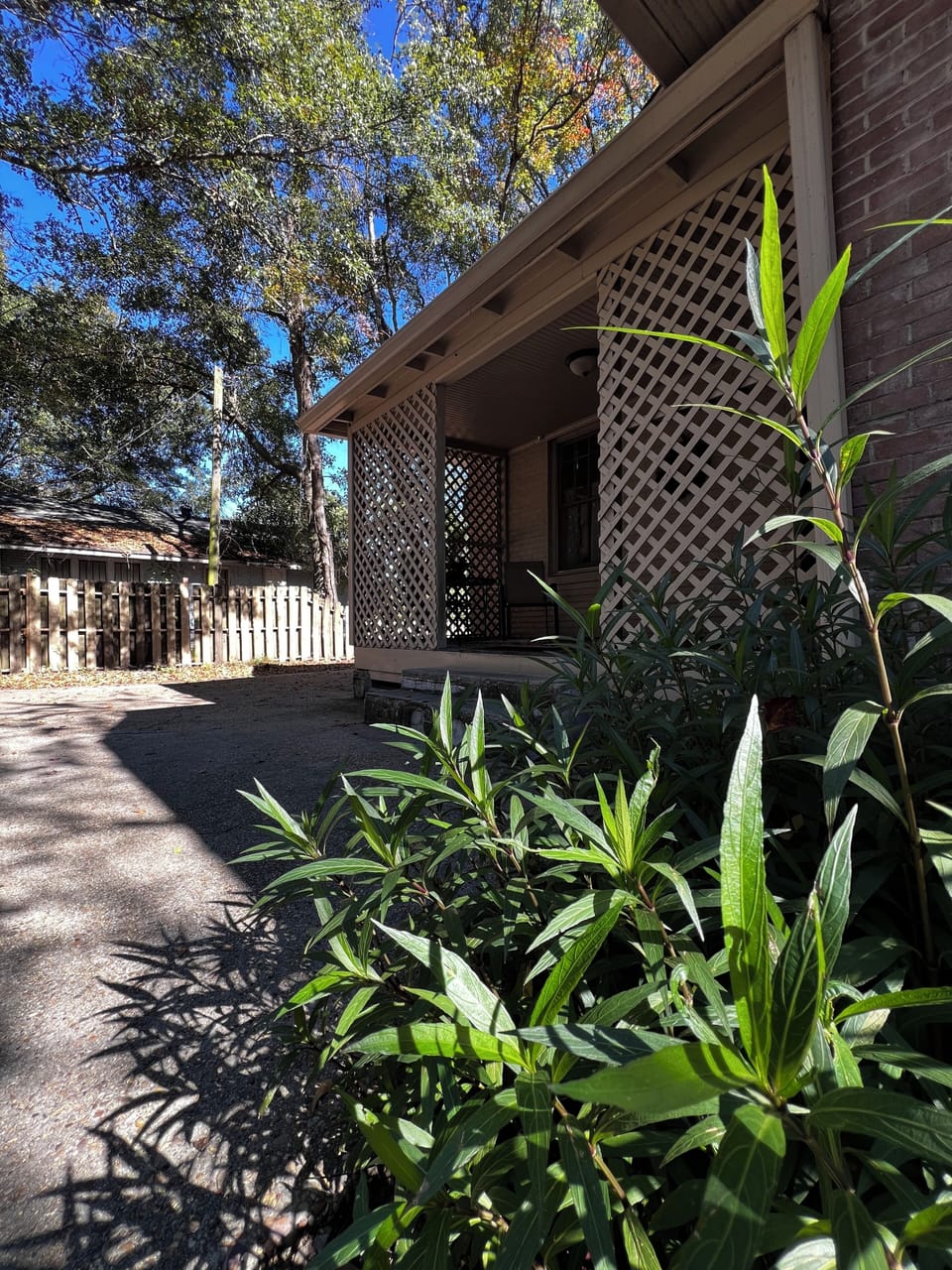 Motion-activated exterior lighting