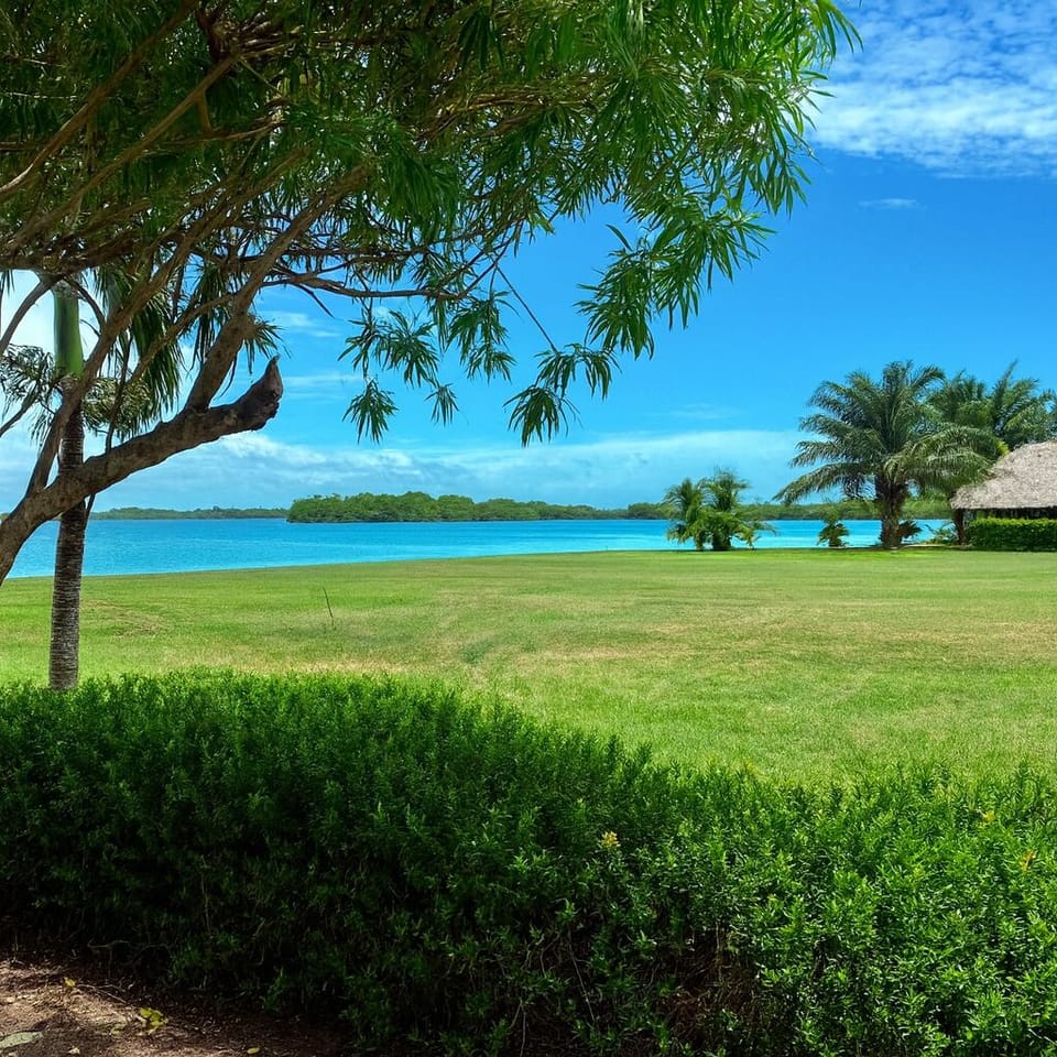 Tropical paradise in the backyard