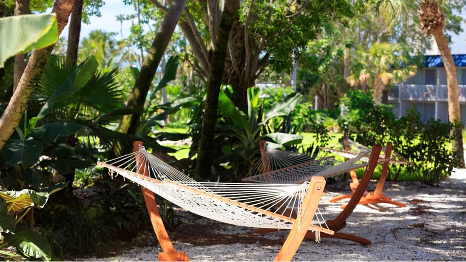 Sway in the hammock beneath palms and dappled sunlight.