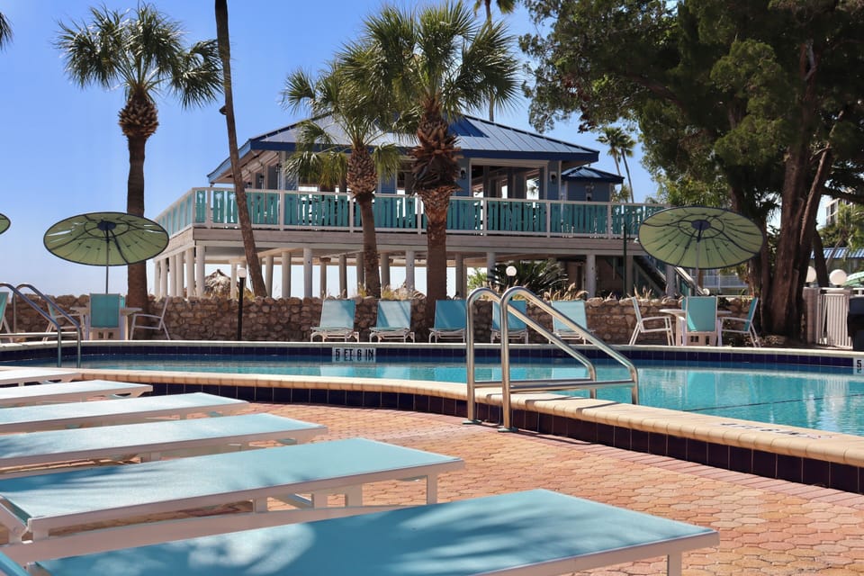 Unwind poolside on cushioned loungers beneath swaying palms.