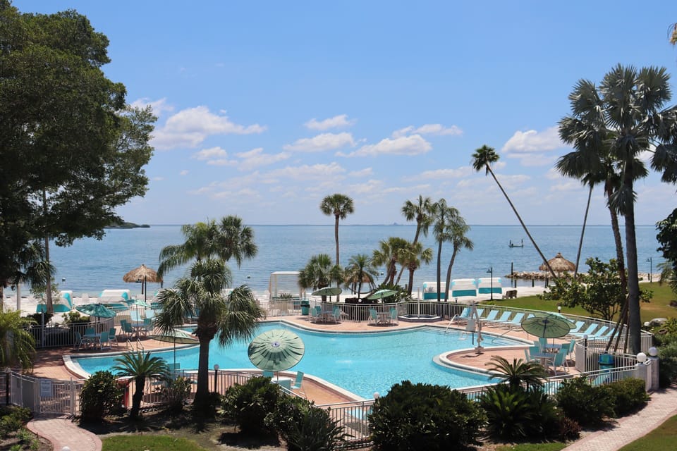 Soak up tropical vibes overlooking the pool and bay.