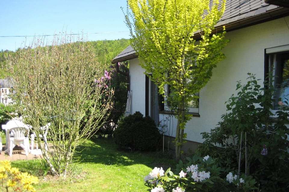Garden [summer]