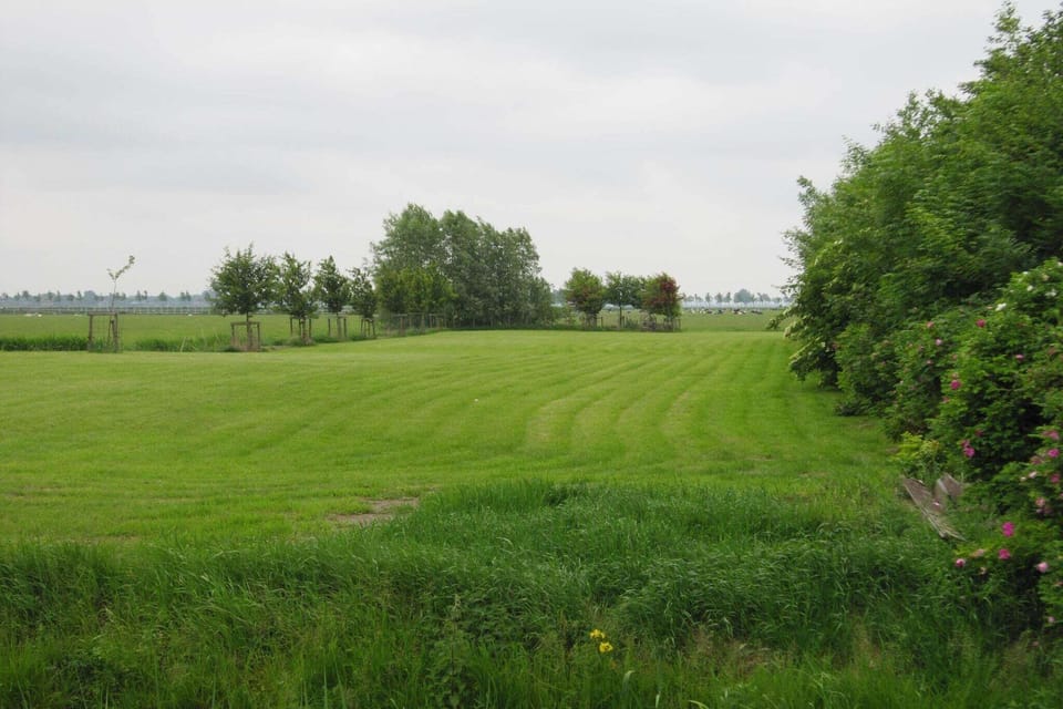 Immediate Surroundings [summer] (<1 km)