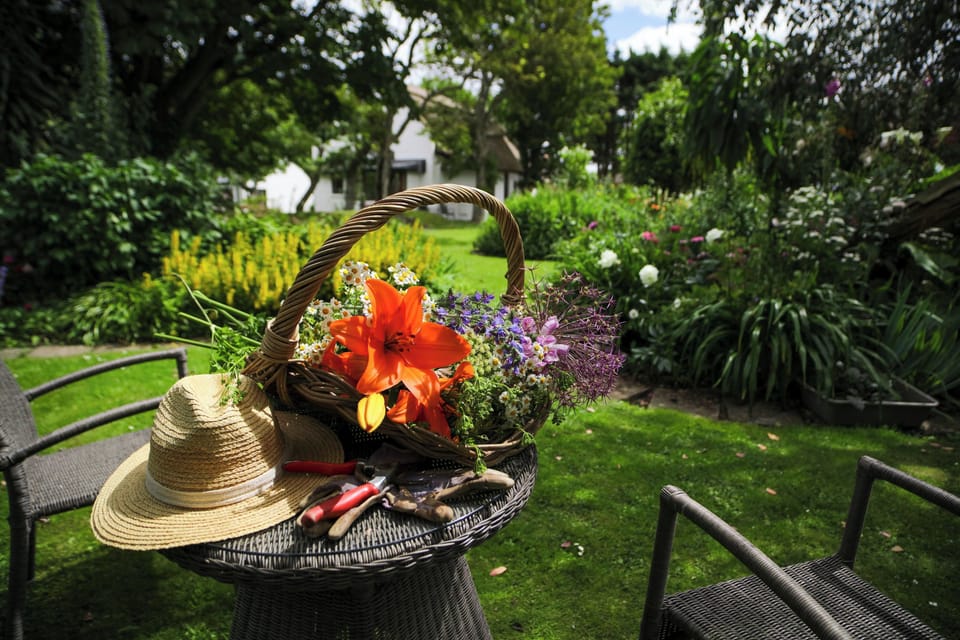 Landscaped organic cottage and coastal gardens with many Garden Trails to visit.