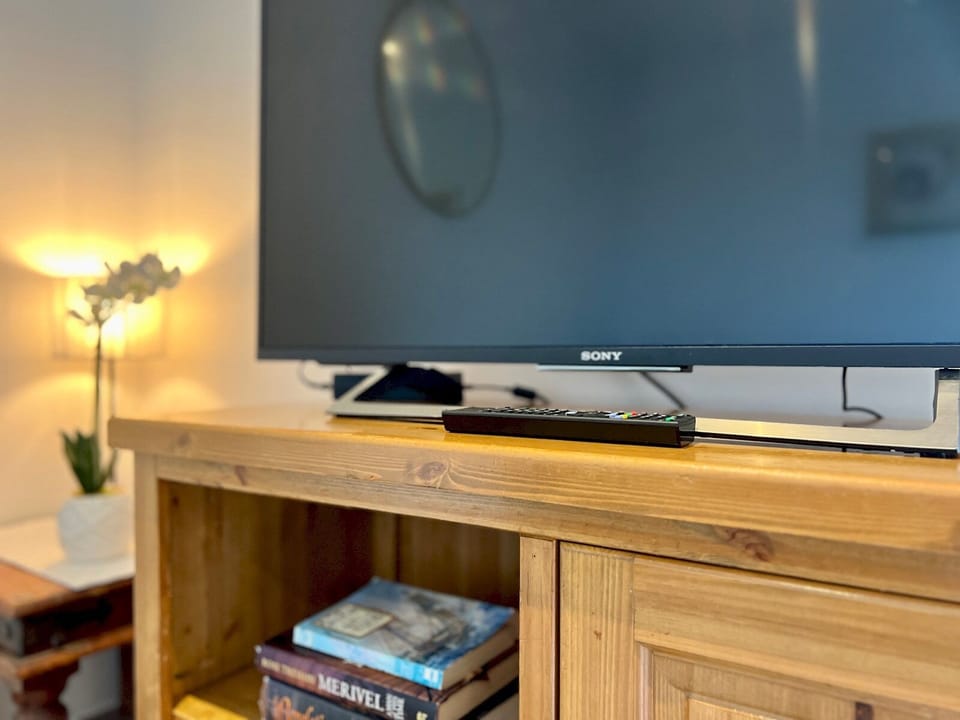 Television