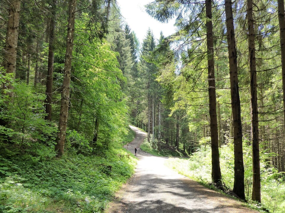Activities, Autumn, Outdoor, Spring, Summer