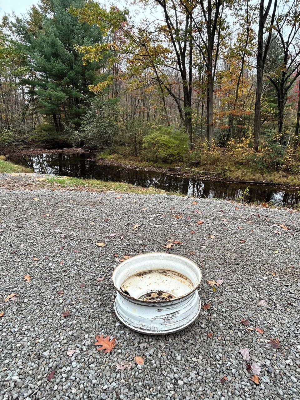 Miscellaneous