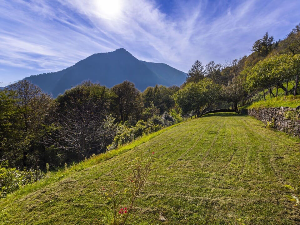 Mountainous Landforms, Green, Mountain, Hill, Nature, Grass, Natural Environment, Leaf, Natural Landscape, Vegetation