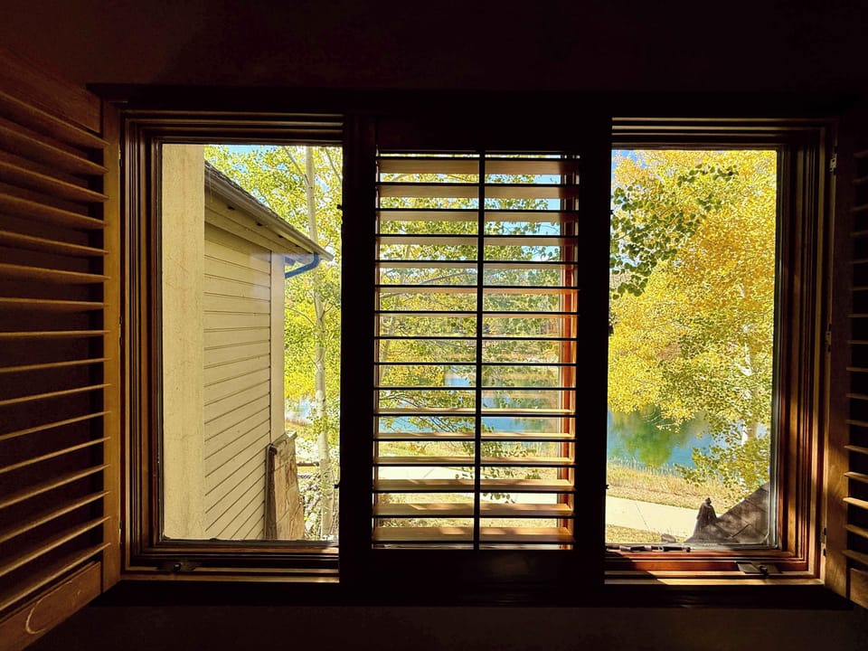 Master Bedroom View