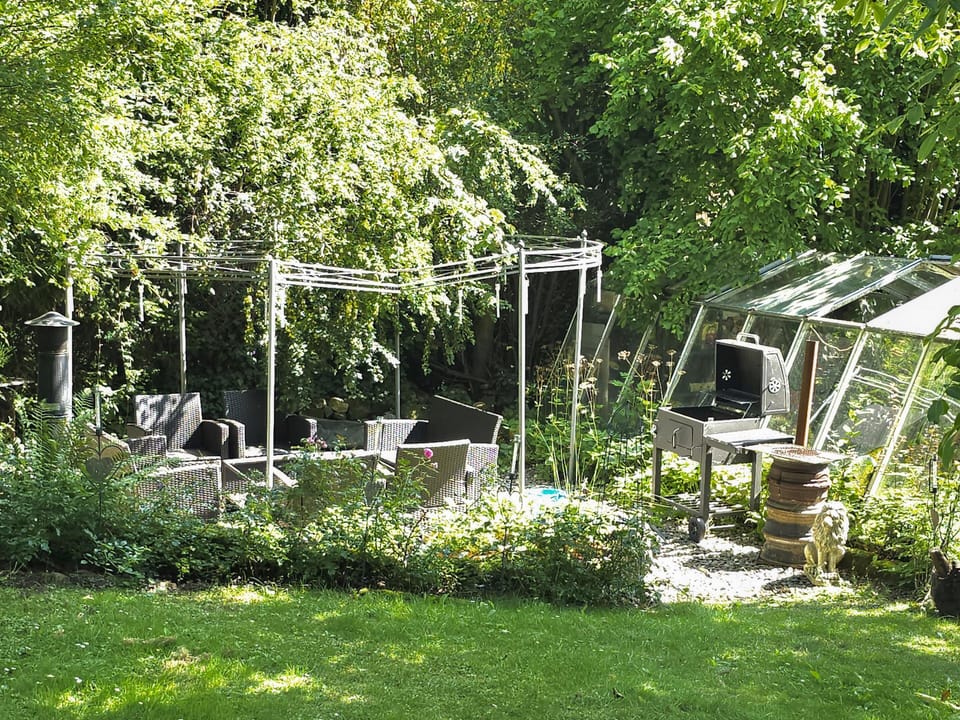 Garden [summer]