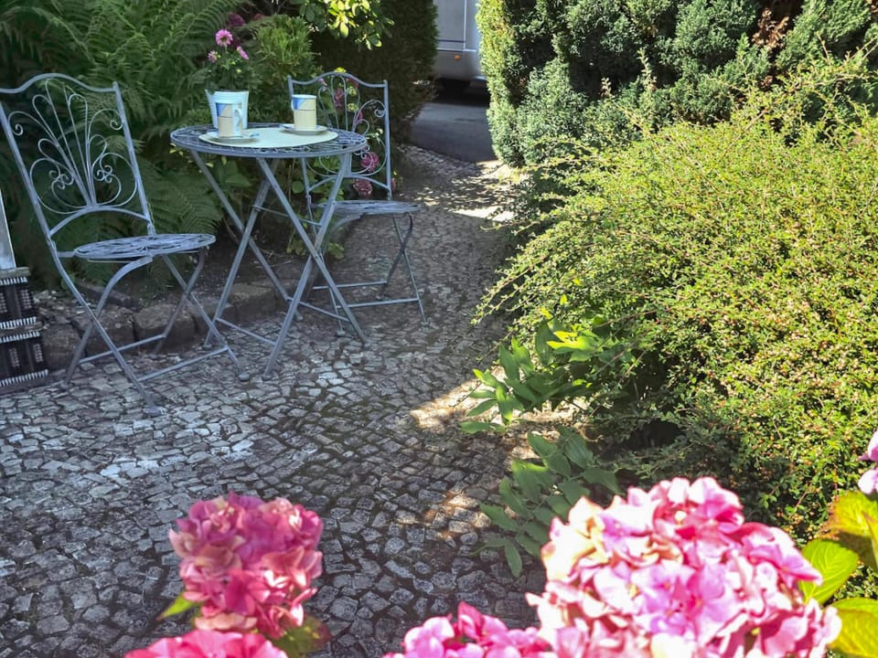 Garden [summer]