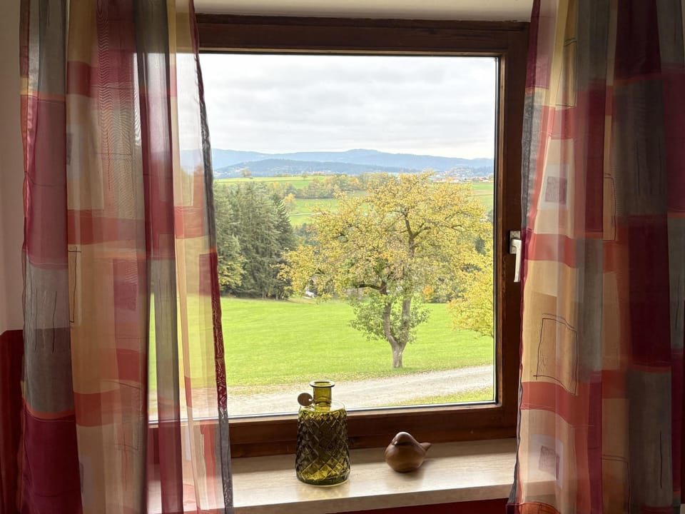 View from Holiday Home [summer]