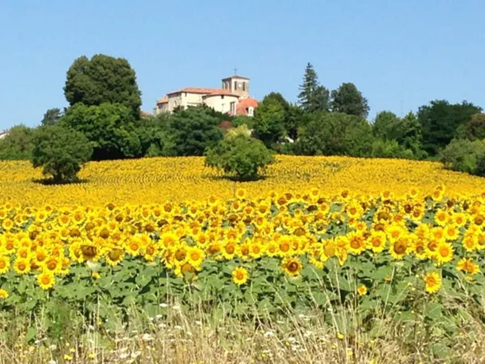 Surroundings [summer] (1-5 km)