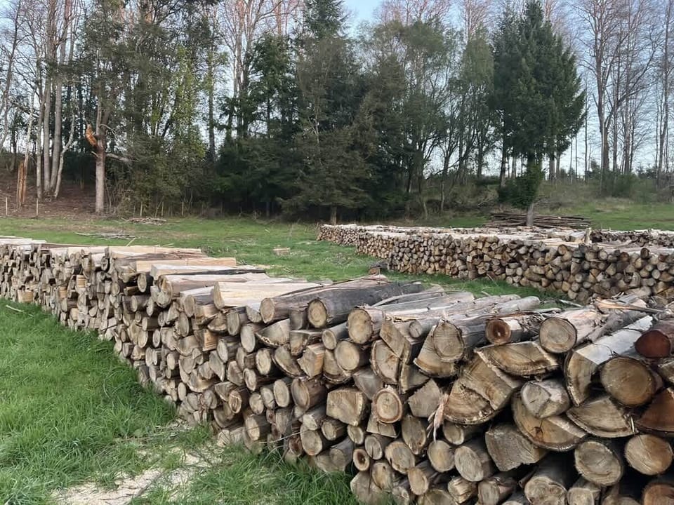Leña 6