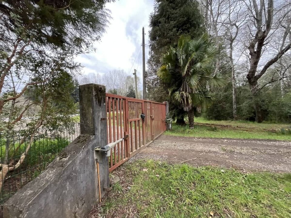 Accesos 5