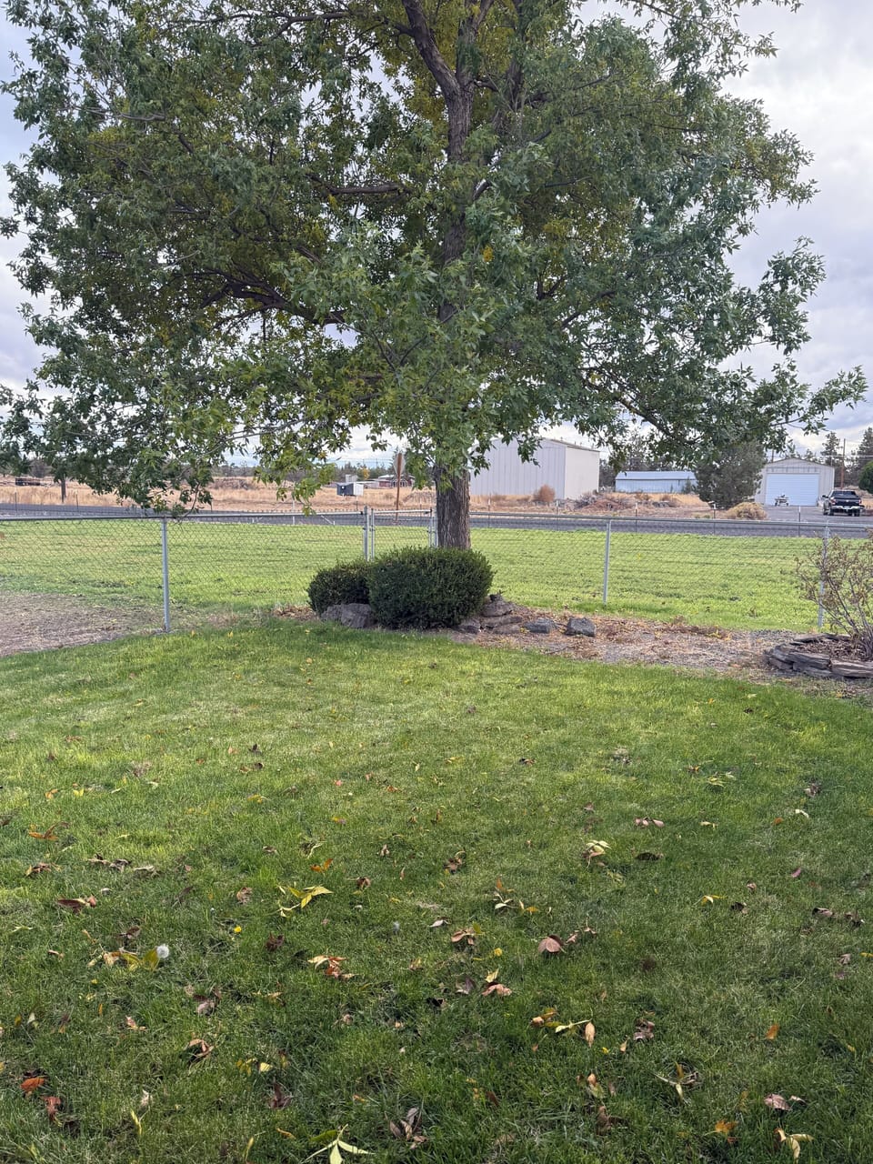 Enjoy all the green grass and shade in the fenced back yard