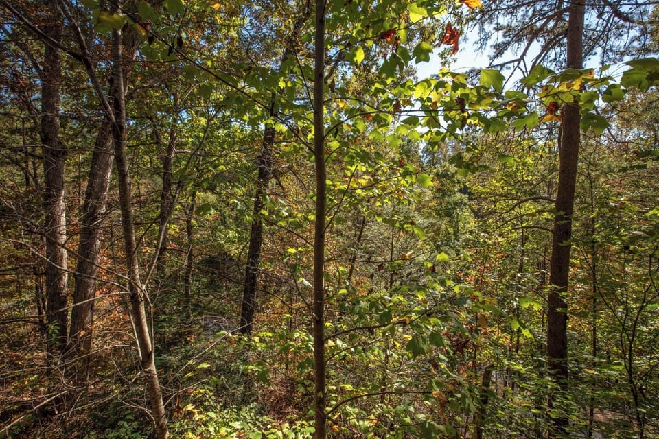 Views from Appalachian Joy's relaxing deck