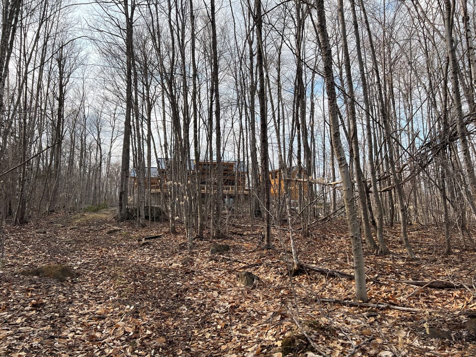 Looking at house from the trail.  