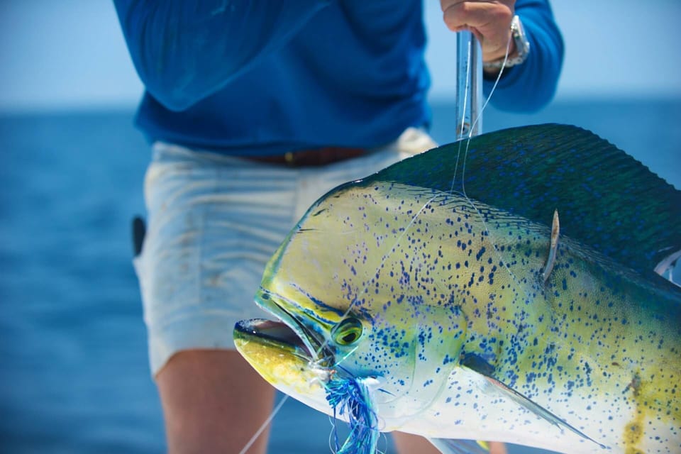 Deep Sea Fishing!