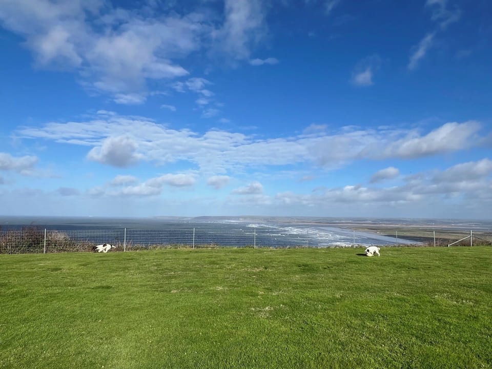 Secure dog friendly garden, plus 2 acre secured dog field