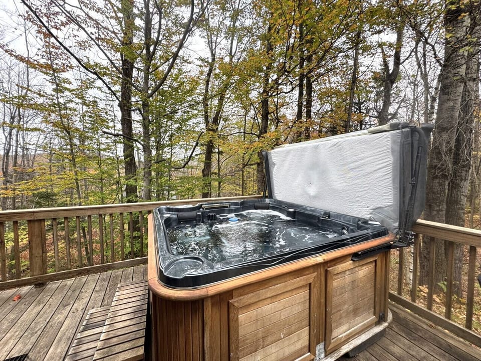 6- person Arctic Spa hot tub
